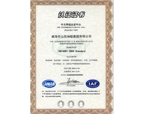 圣雁IAF認證證書