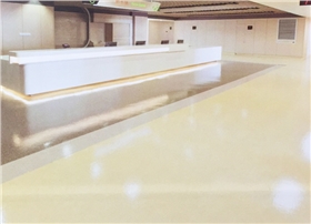 帶晶盾涂層的同質透心卷材