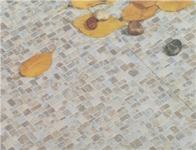 高級(jí)彈性地材