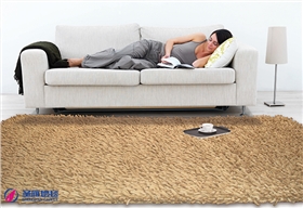 羊毛地毯 羊毛地毯