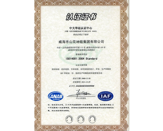 圣雁IAF認證證書