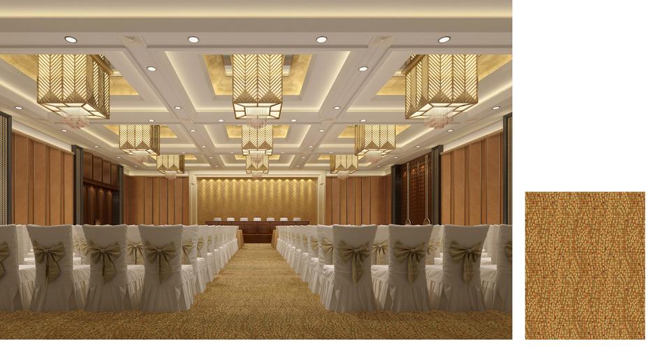 多功能廳地毯 多功能廳地毯