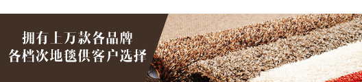 擁有上萬款各品牌各檔次地毯供客戶選擇